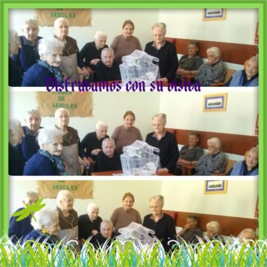 Residencia Virgen de los Árboles